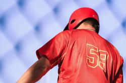 雷速体育-包含棒球战术革新取得奇效，引发战术热潮的词条