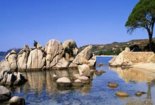 雷速体育比分官网-奥地利乒乓球队横扫波兰,奥恰洛夫闪耀全场引爆热潮